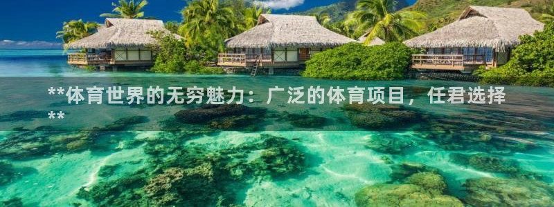 星欧娱乐联售后服务评价