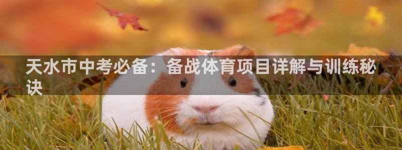 星欧娱乐扣款流程详解视频教程