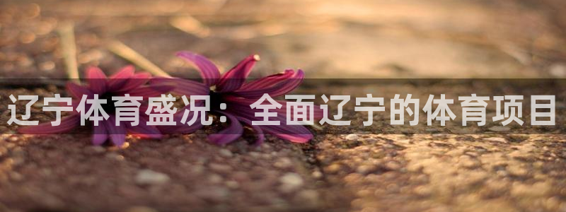 星欧娱乐最建议买的三个产品有哪些内容