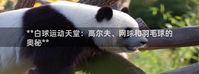 星欧娱乐雀V是什么平台