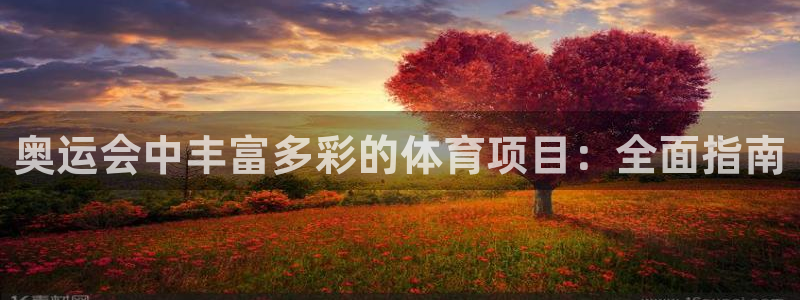 星欧娱乐扣款时间查询方法