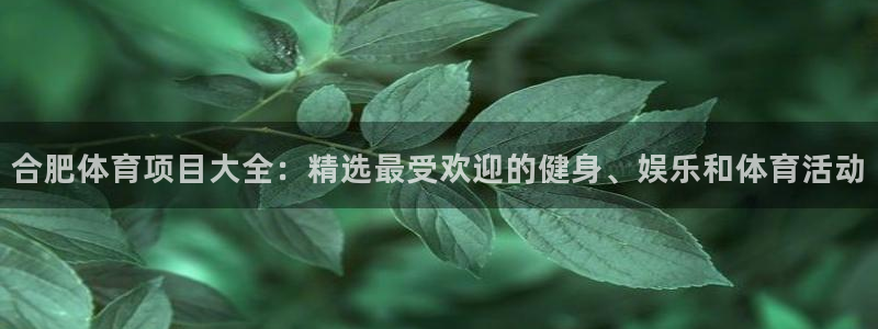 星欧娱乐属于什么档次的软件啊