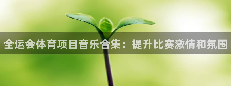 星娱乐文化传媒
