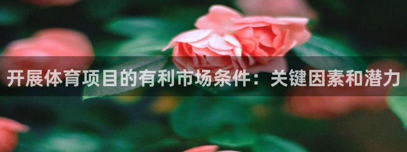 星欧娱乐的创始人背景故事是什么