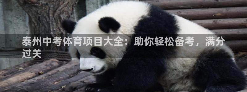 星欧娱乐雀V是什么平台