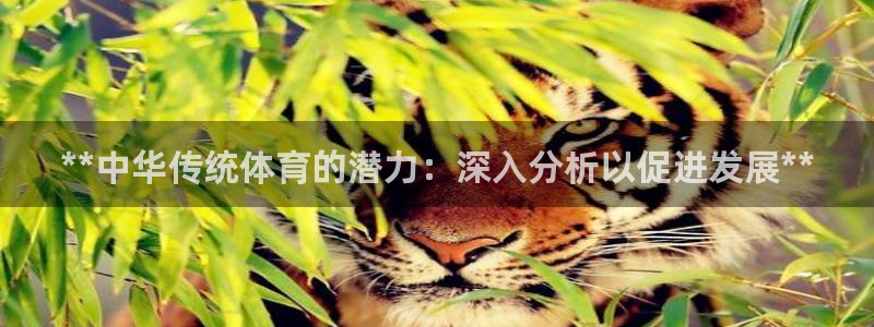 星娱乐online创作的原声这个歌曲叫什么名字