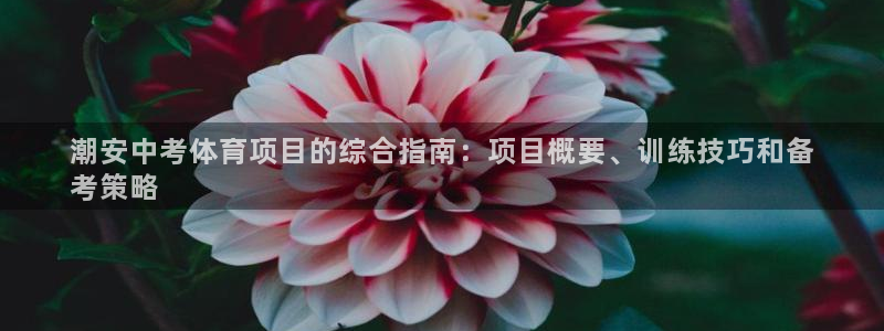星欧娱乐平台方7O777