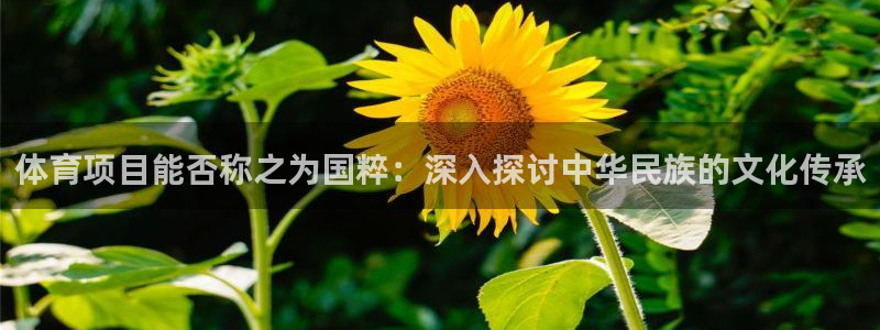 星欧娱乐联最新新闻