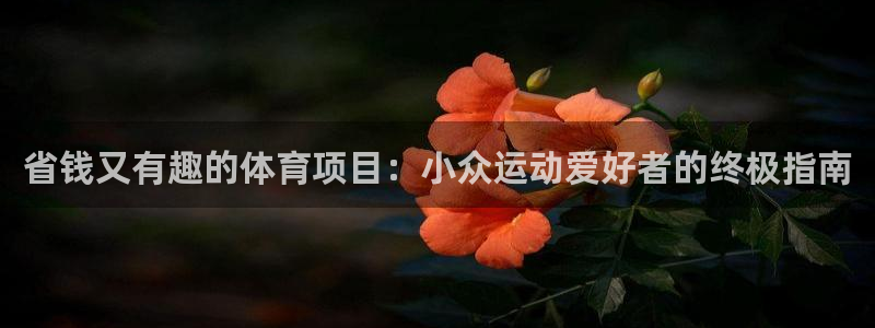 星欧娱乐最建议买的三个游戏账号