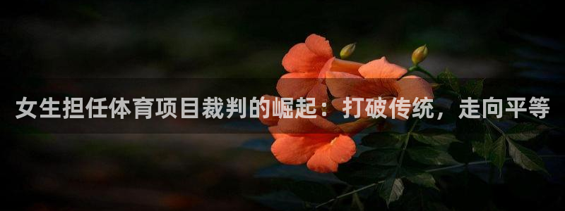 星欧娱乐属于什么档次的公司名称