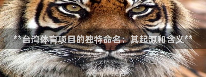星欧娱乐最建议买的三个产品是什么呢