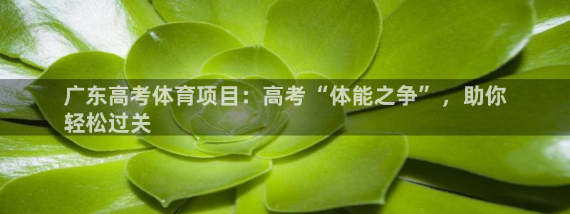 星奥娱乐集团怎么样