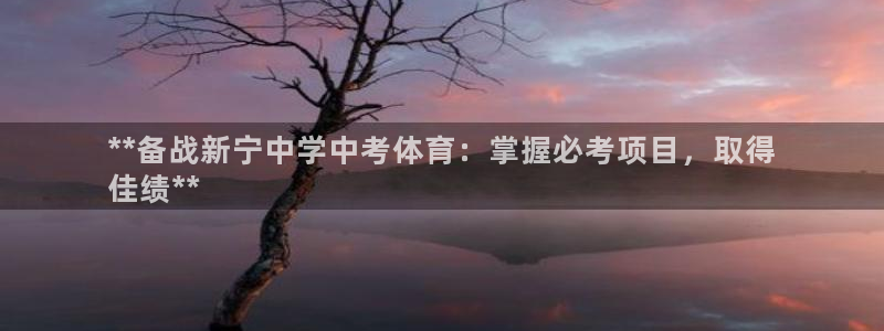 星欧娱乐的官方版本更新内容有哪些