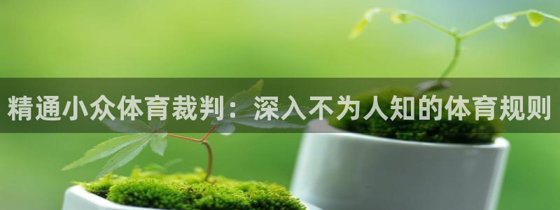 星欧娱乐平台怎么样
