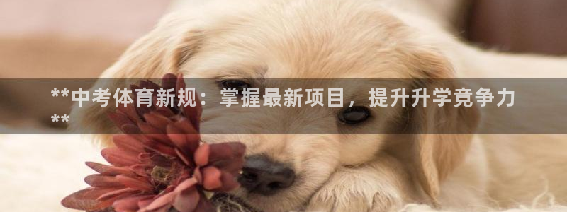 星欧娱乐扣钱步骤详解