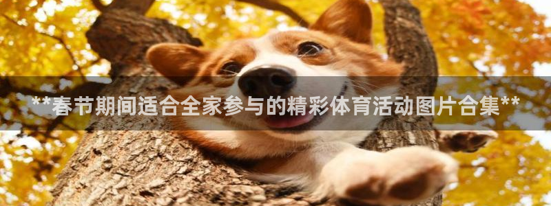 传奇星娱乐