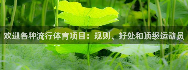 星欧娱乐扣款流程详解视频