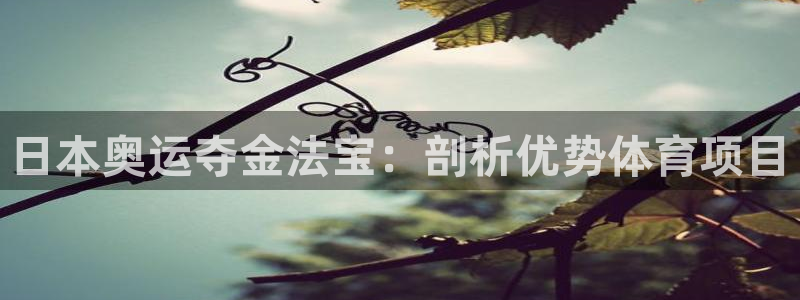 星欧娱乐扣款时间查询方法