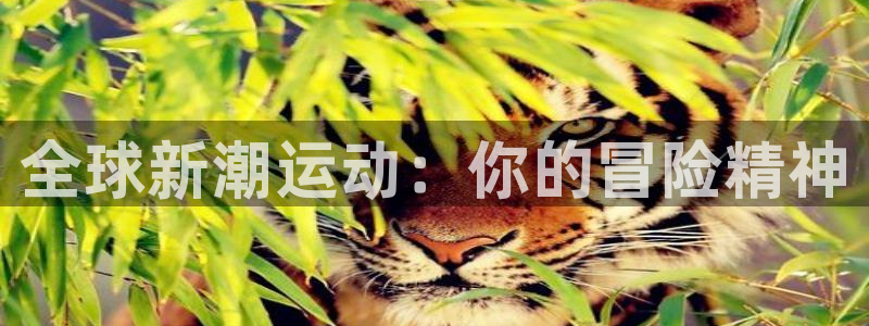 星欧娱乐官网下载安卓