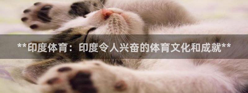 星娱乐彩票网