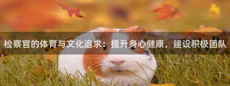 星澳娱乐公司简介