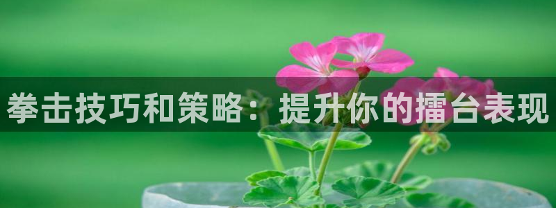 新星娱乐怎么开挂