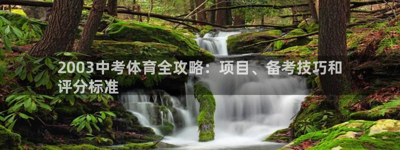 星游娱乐1官网下载