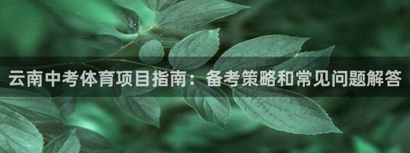 星欧娱乐联4.8.5.6.2.4.3下载