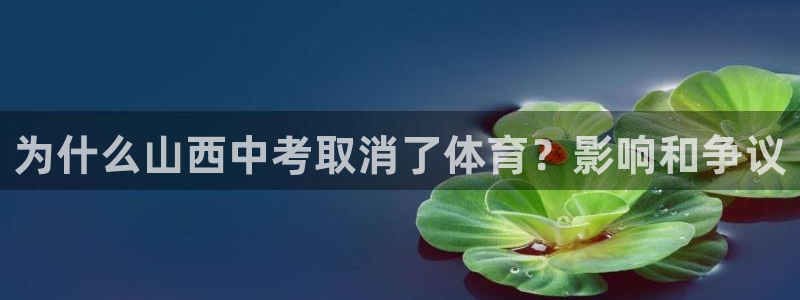 星奥娱乐艺人