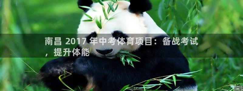 星澳娱乐公司怎么样