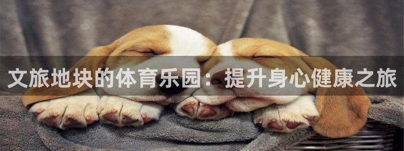 星欧娱乐扣款时间查询方法
