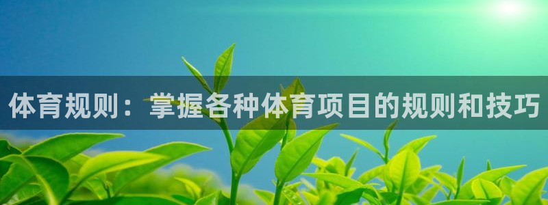 星欧娱乐用户名和密码