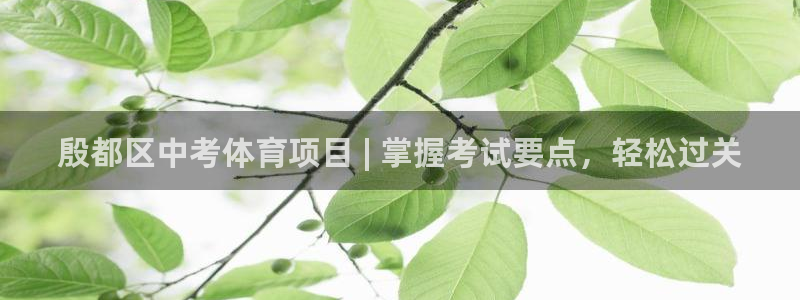 星欧娱乐彩票软件下载安装