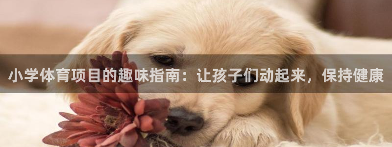 星欧娱乐最建议买的三个产品有哪些内容