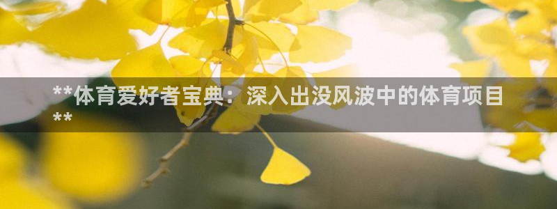 江苏星奥娱乐有限公司怎么样