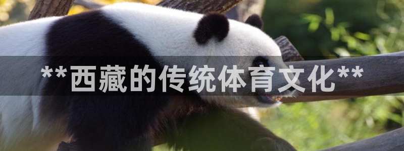星欧娱乐银行卡怎么登录