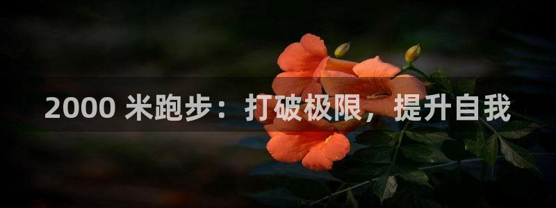 星娱乐online创作的原声胡歌吴磊