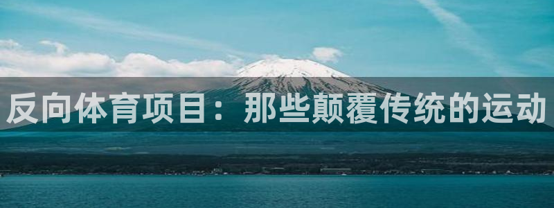 星欧娱乐平台测速线路怎么设置