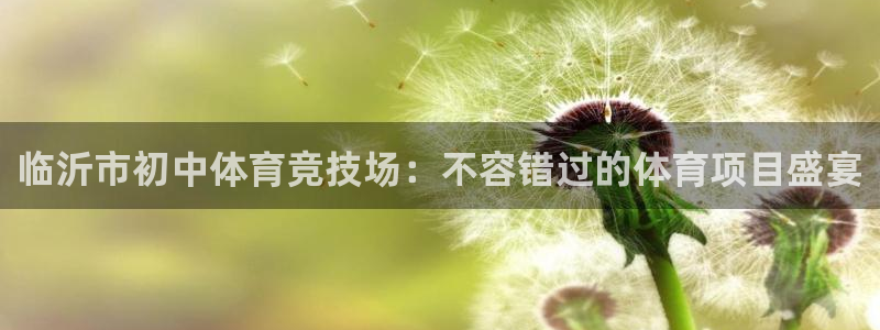 星欧娱乐扣款时间查询方法是什么样的