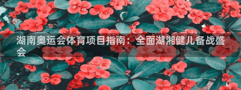 星欧娱乐扣款时间查询方法是什么意思