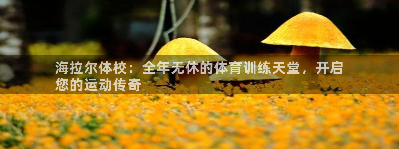 星欧娱乐平台怎么样知乎