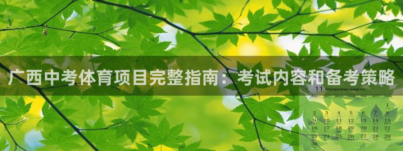 星欧娱乐联游戏评测