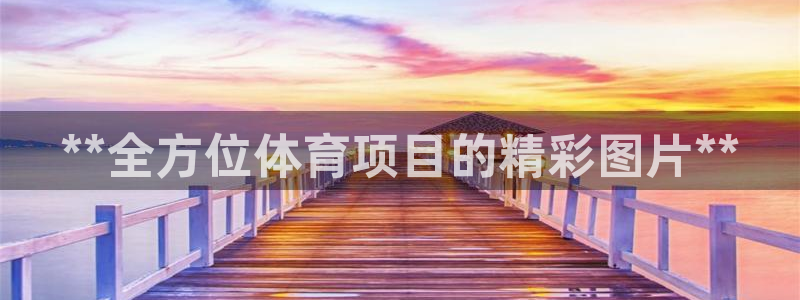 江苏星奥娱乐有限公司报名