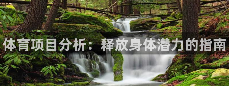 星欧娱乐官网首页入口