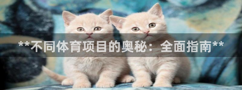星欧娱乐是正规平台吗安全吗可靠吗