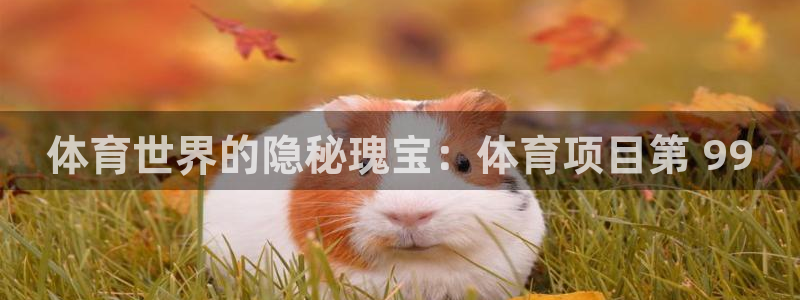 星乐娱乐