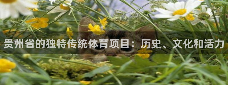 星欧娱乐扣款时间查询方法是什么意思