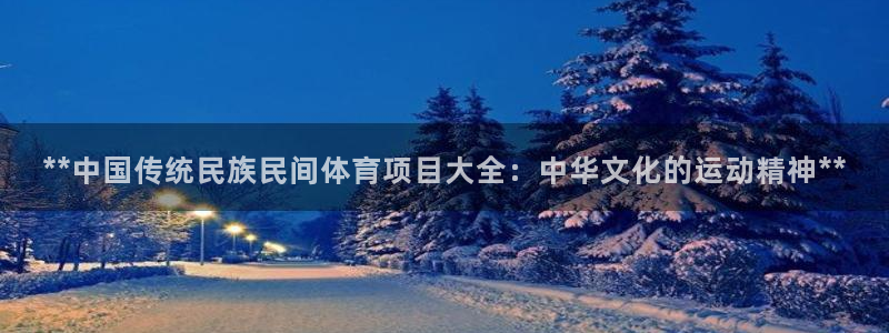 星欧娱乐挂机教程