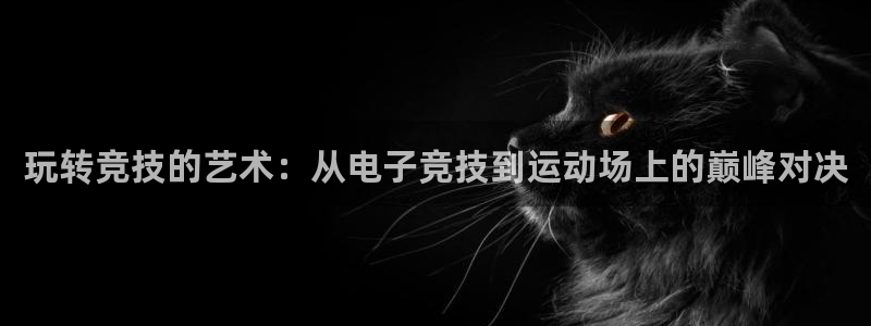 星欧娱乐官网