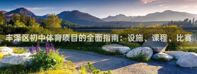 星奥娱乐集团股份有限公司官网